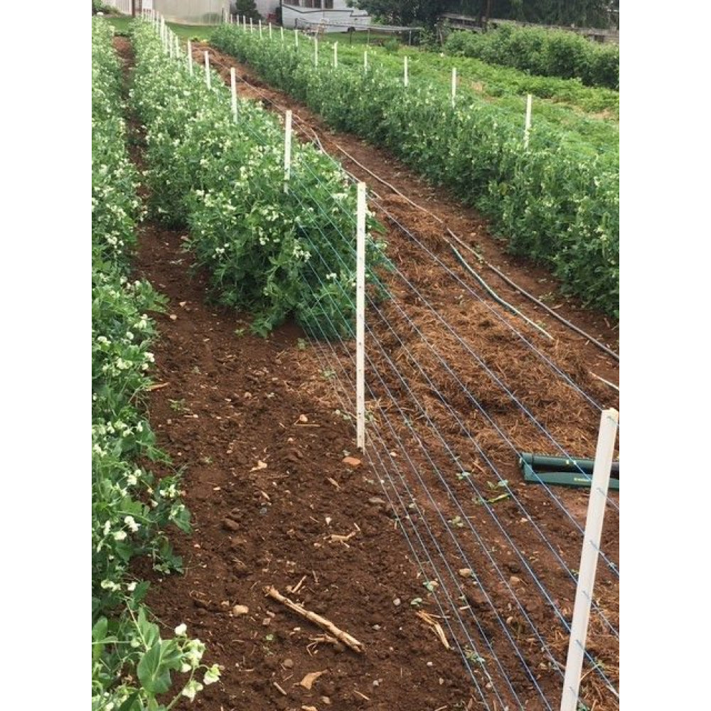 Timeless Fence Rigid PVC Pea Posts Pack of 25 – Got It Wholesale
